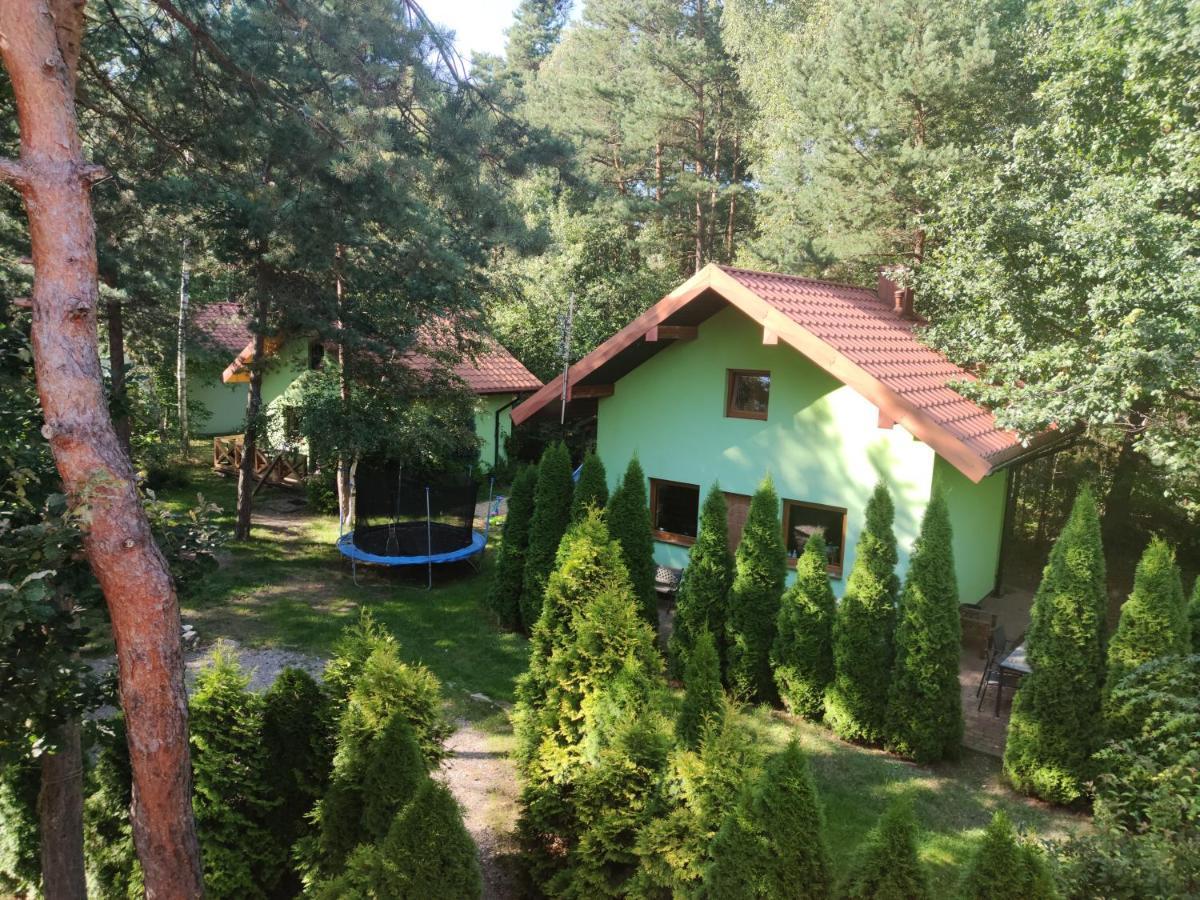 Villa Niezapominajka-Jura Niegowa Exterior foto